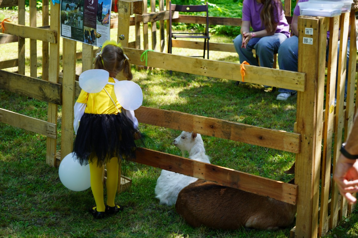 DSC08473.JPG