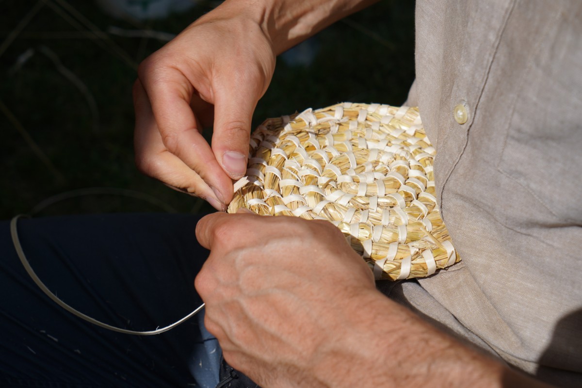 DSC08522.JPG DSC08522.JPG