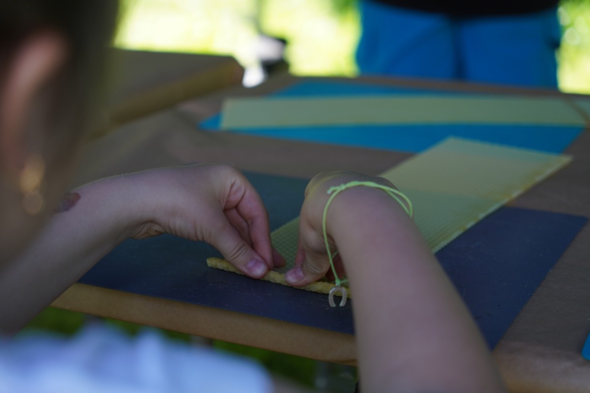 DSC08509.JPG DSC08509.JPG