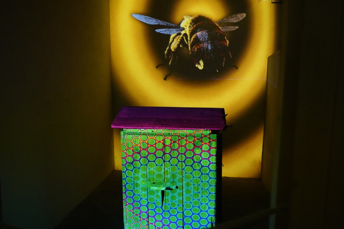 DSC08581.JPG DSC08581.JPG