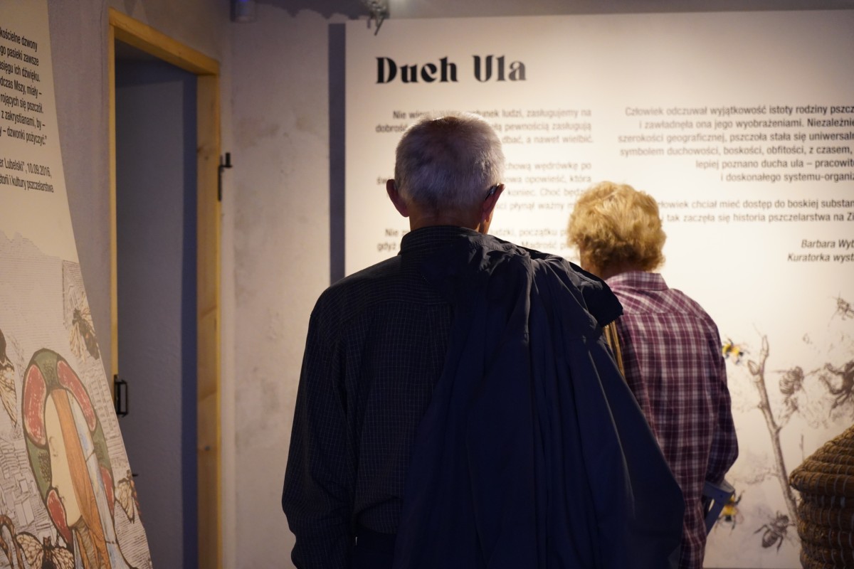 DSC08694.JPG DSC08694.JPG