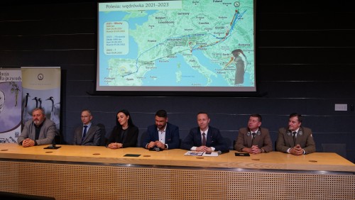 DSC04051.JPG DSC04051.JPG