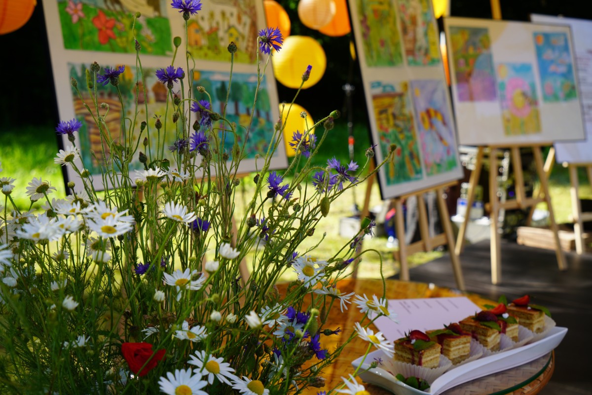 DSC08655.JPG DSC08655.JPG