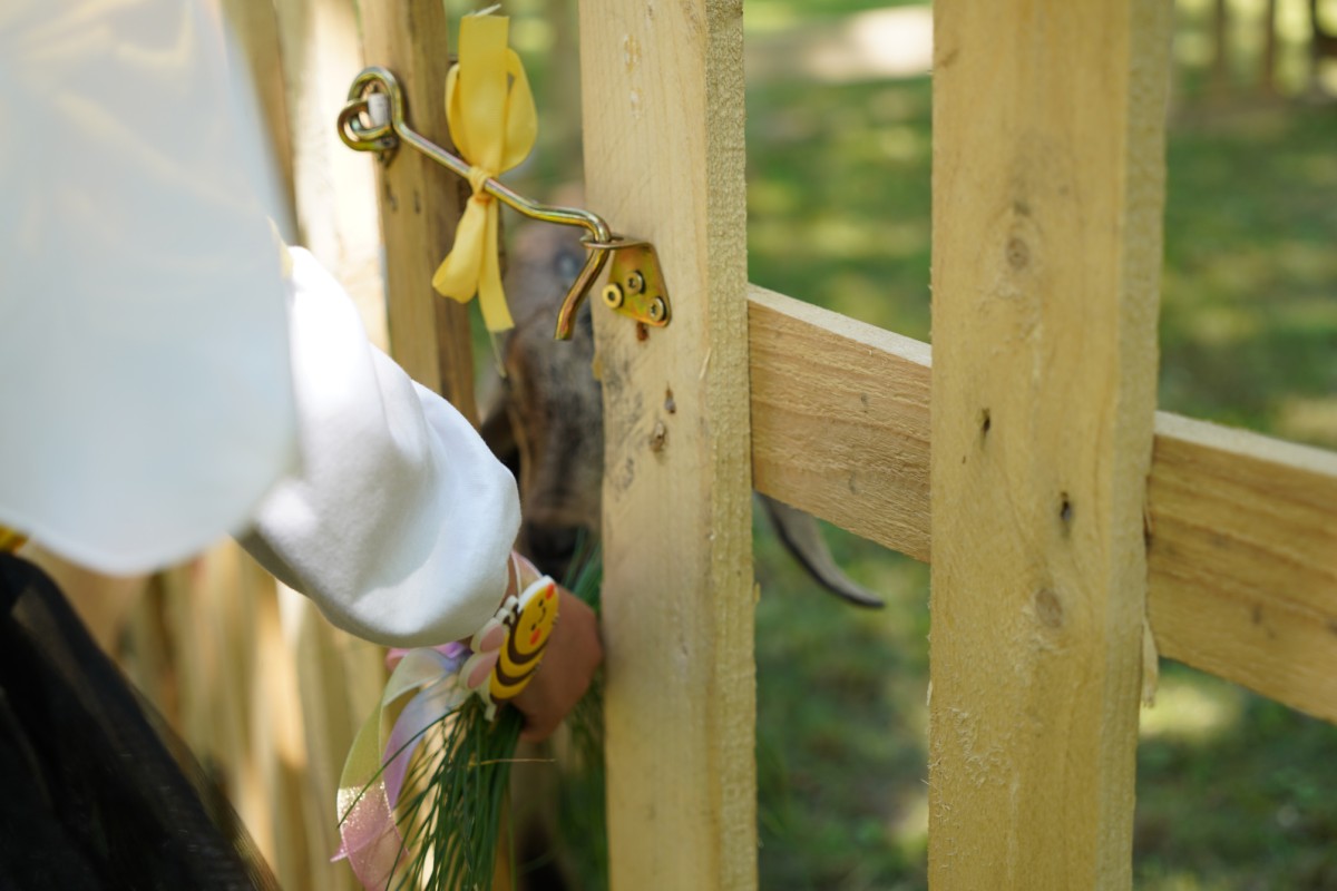 DSC08483.JPG DSC08483.JPG