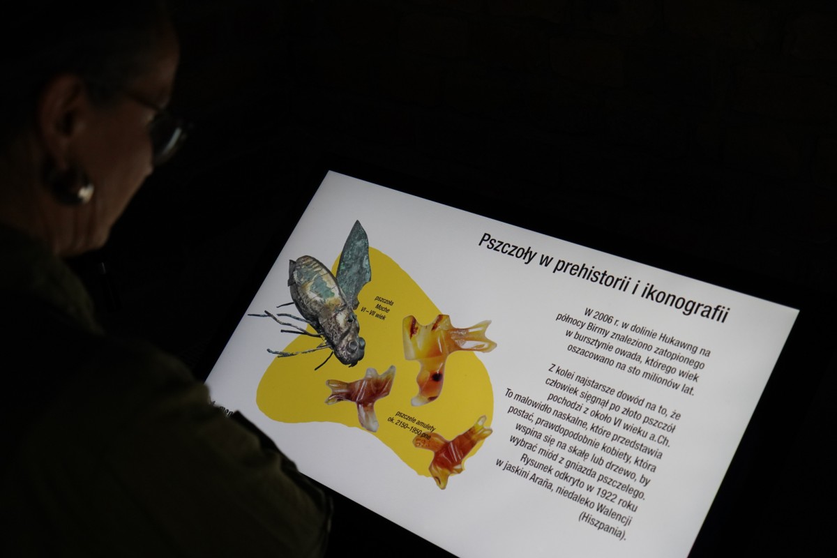 DSC08574.JPG DSC08574.JPG