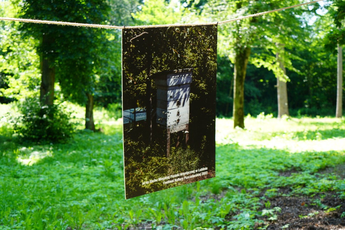 DSC08485.JPG DSC08485.JPG