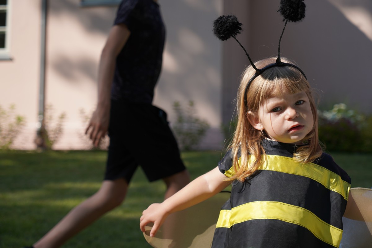 DSC08732.JPG DSC08732.JPG