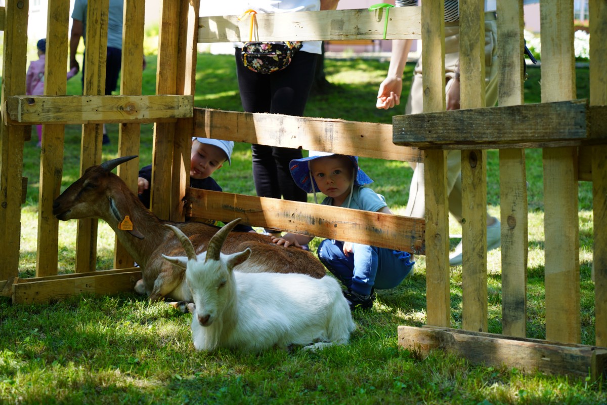 DSC08548.JPG DSC08548.JPG