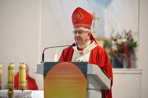 GB9_2782.JPG GB9_2782.JPG