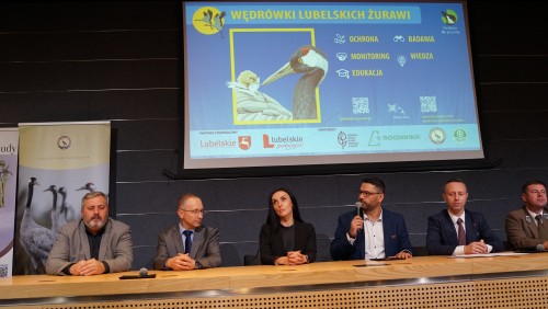 DSC04014.JPG DSC04014.JPG