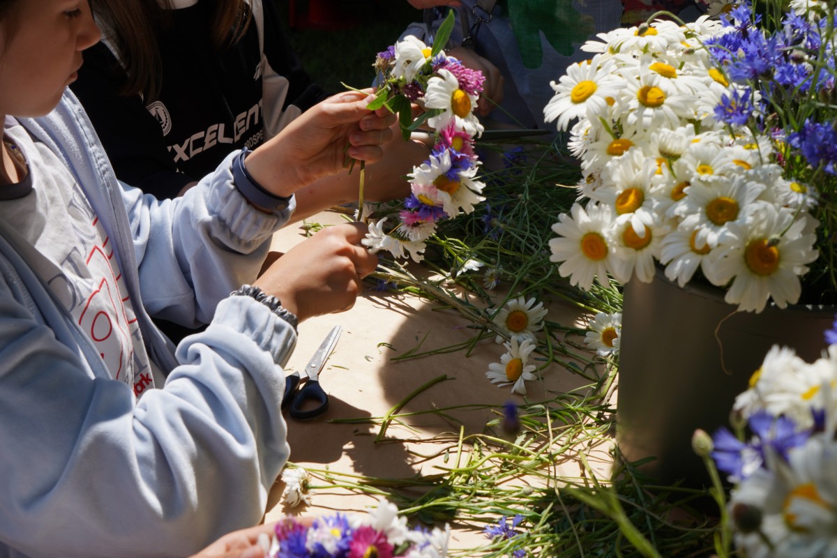 DSC08515.JPG DSC08515.JPG