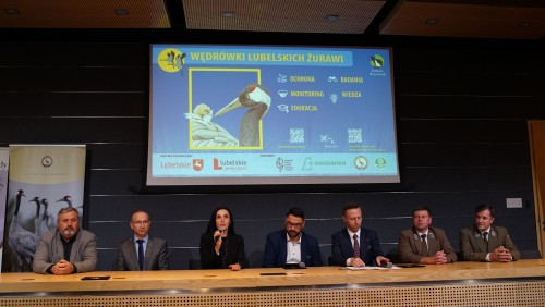 DSC04024.JPG DSC04024.JPG