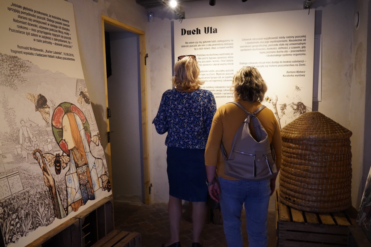 DSC08697.JPG DSC08697.JPG