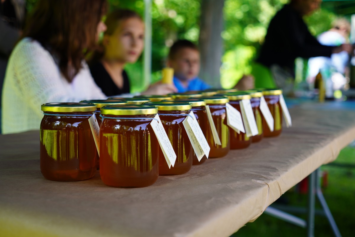 DSC08557.JPG DSC08557.JPG