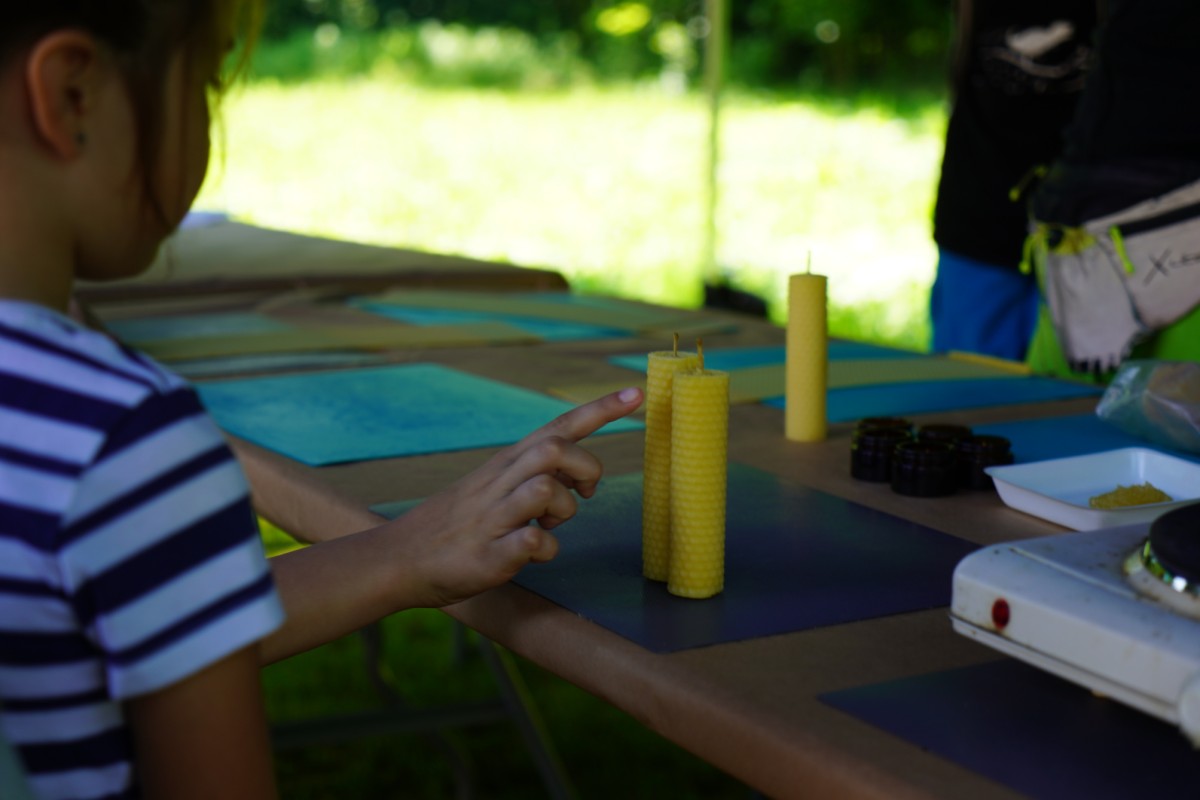 DSC08508.JPG DSC08508.JPG