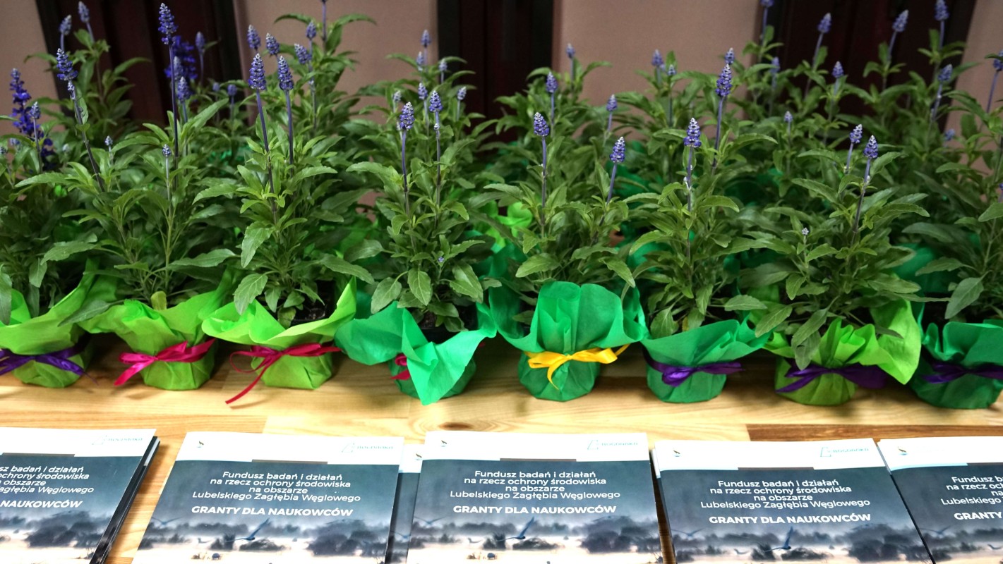 DSC05058.JPG DSC05058.JPG