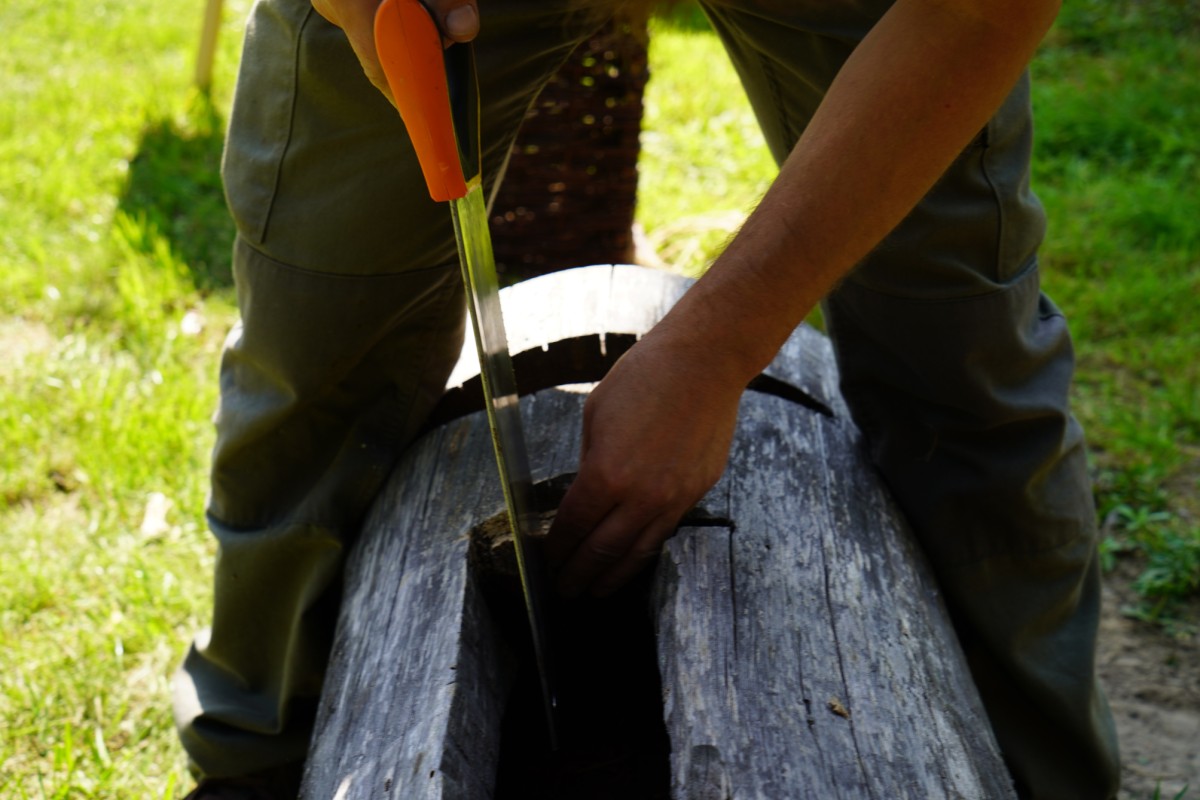 DSC08592.JPG DSC08592.JPG