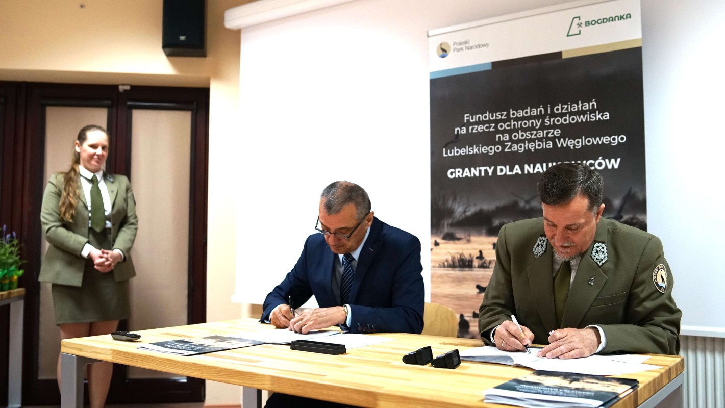 DSC05094.JPG DSC05094.JPG